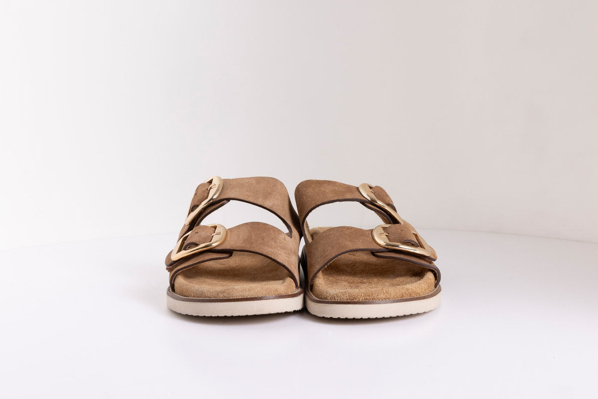 DOUBLE BUCKLE ANATOMIC SLIDES