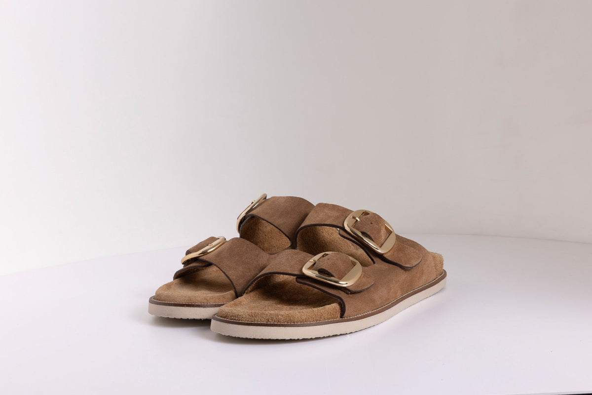 DOUBLE BUCKLE ANATOMIC SLIDES
