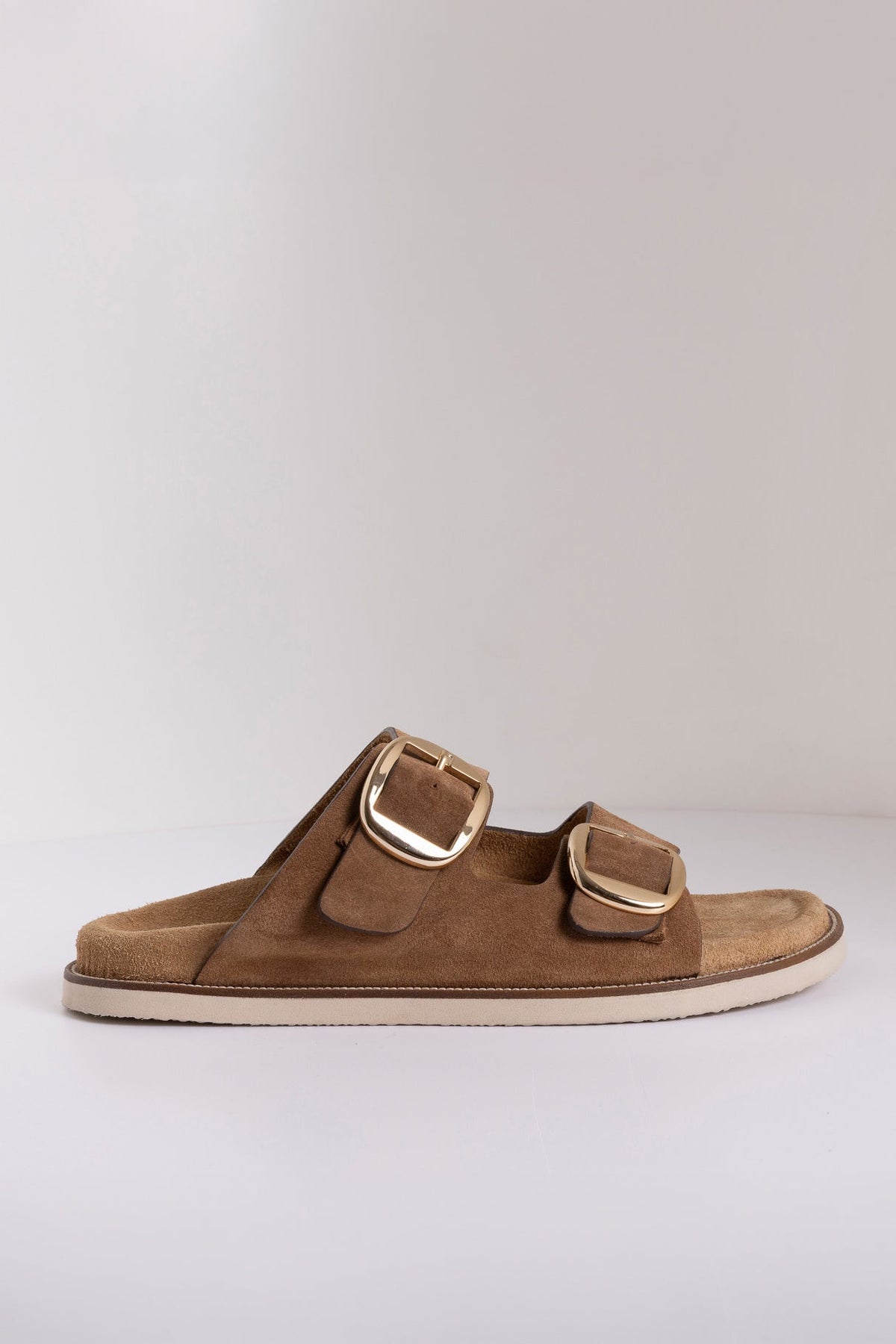 DOUBLE BUCKLE ANATOMIC SLIDES